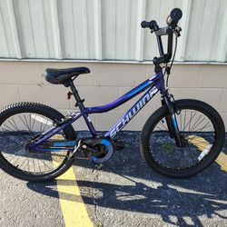 20" Schwinn Falcon Kids Bike