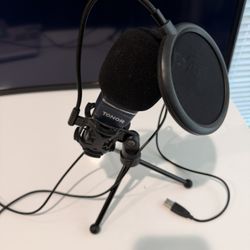 Microphone