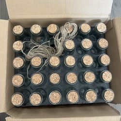 Small Glass Bottles With Cork And Twine
