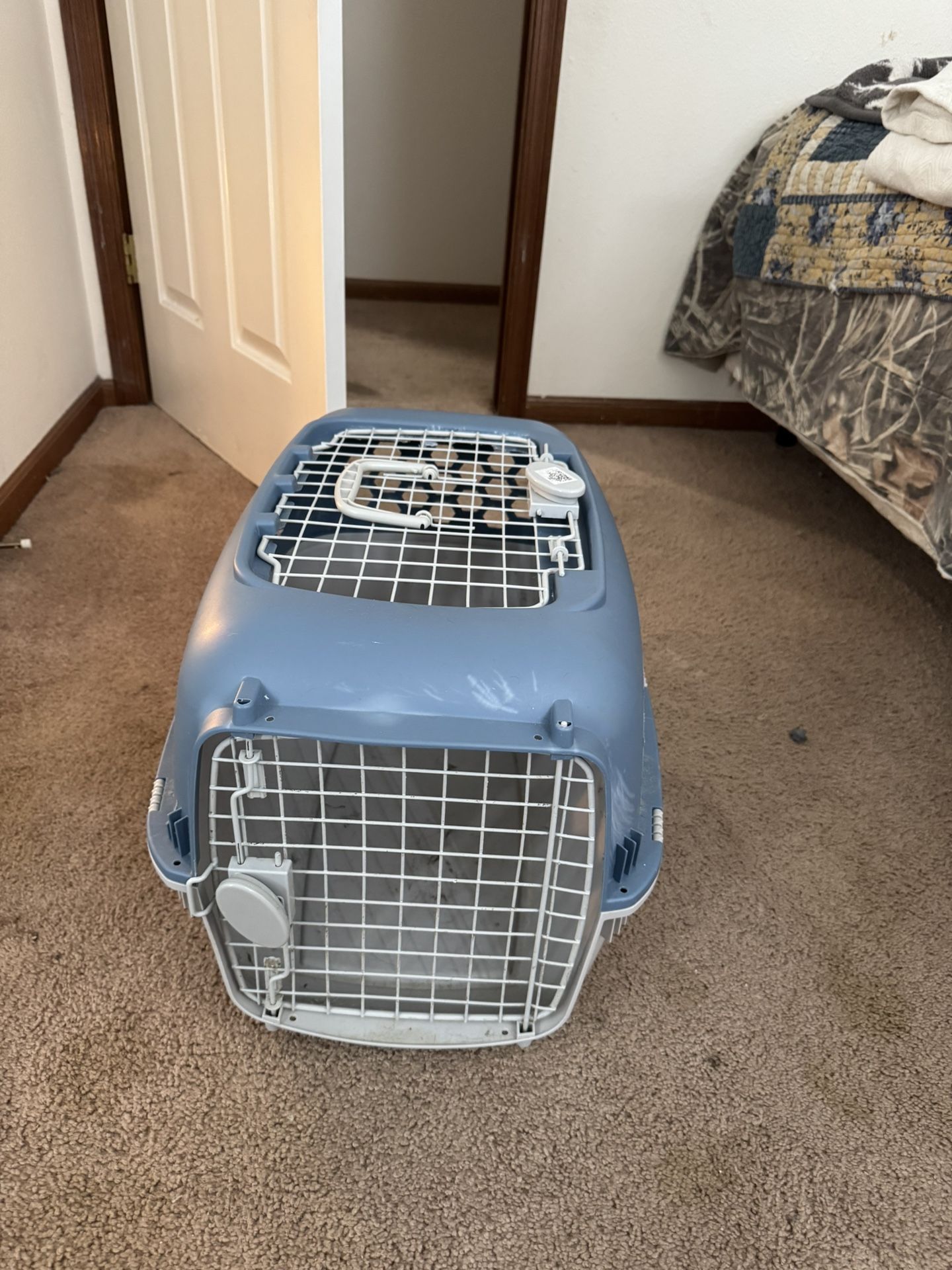 dog crate