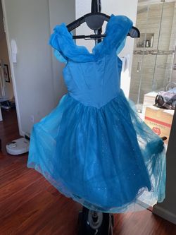 6-7 Year Princess Costume
