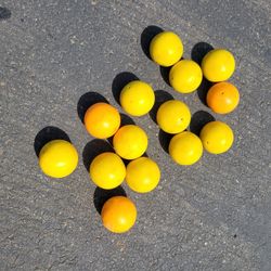 Baseball Or Softball Heavy Balls