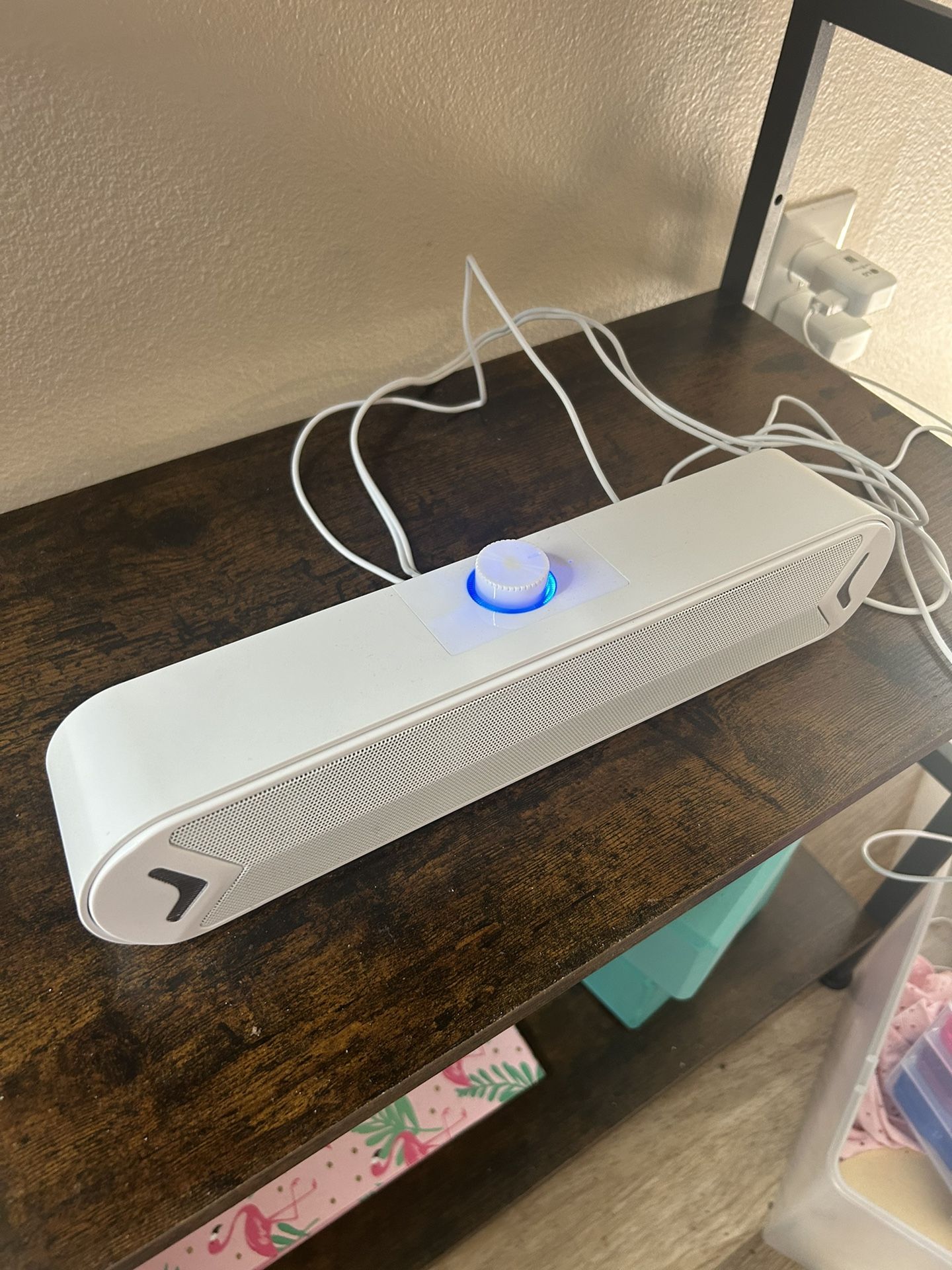 Computer Speaker