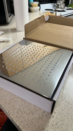 Hansgrohe Rain Shower Head 