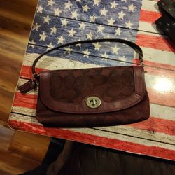 Wristist Carrying Bag 