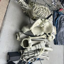 12 Foot Skeleton 