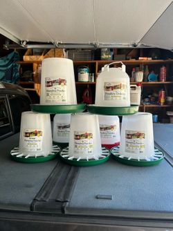 Chicken feeders And Waters