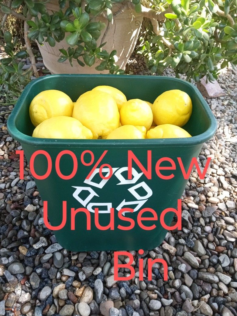 NEW Rubbermaid Commercial Bin & Lemons