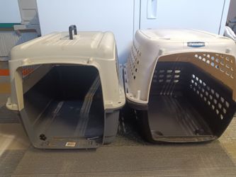Dog Kennels