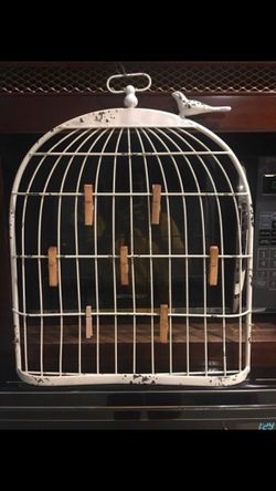 Bird Cage Picture / Note Holder 19” long and 15” wide