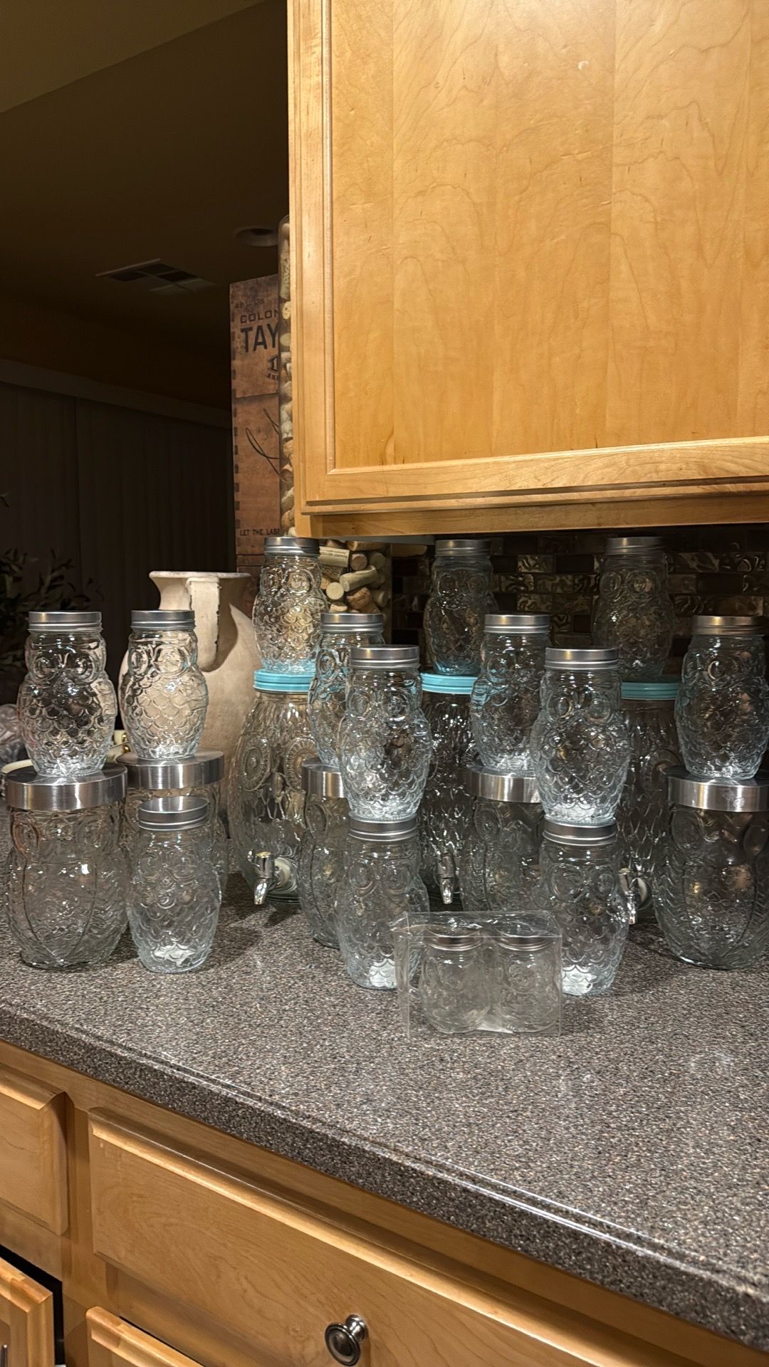 3 Glass Owl Cooler dispensers, 5 Glass Canisters, 13 Smaller Glass Canisters and pair Salt & Pepper Shakers ALL for $35