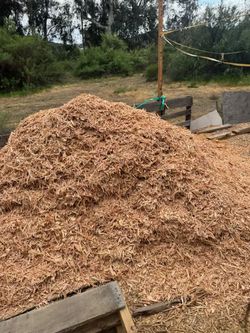 Wood Shavries Free Free