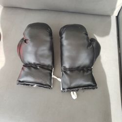 Youth Boxing Gloves