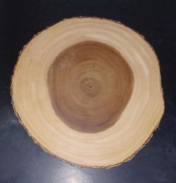 Natural Wood Slice with Live Edge Bark