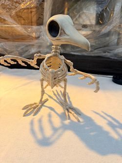 Skeleton Crow Halloween Decoration Figure