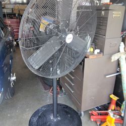 Fan