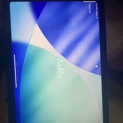 iPad Mini  6th Generation Unlocked Open Box 