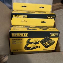 DEWALT 20-V 2-Pack Lithium-ion Battery and Charger (5 Ah)