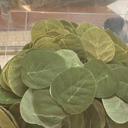 Eucalyptus Leaves Decor 