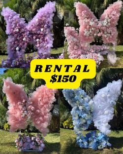 Giant Butterfly backdrops