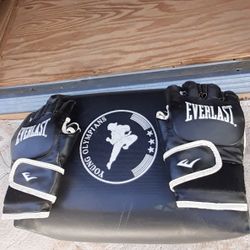 I Am Selling A Karate Punch Bag, With Two Everlast Punching Gloves--like New 