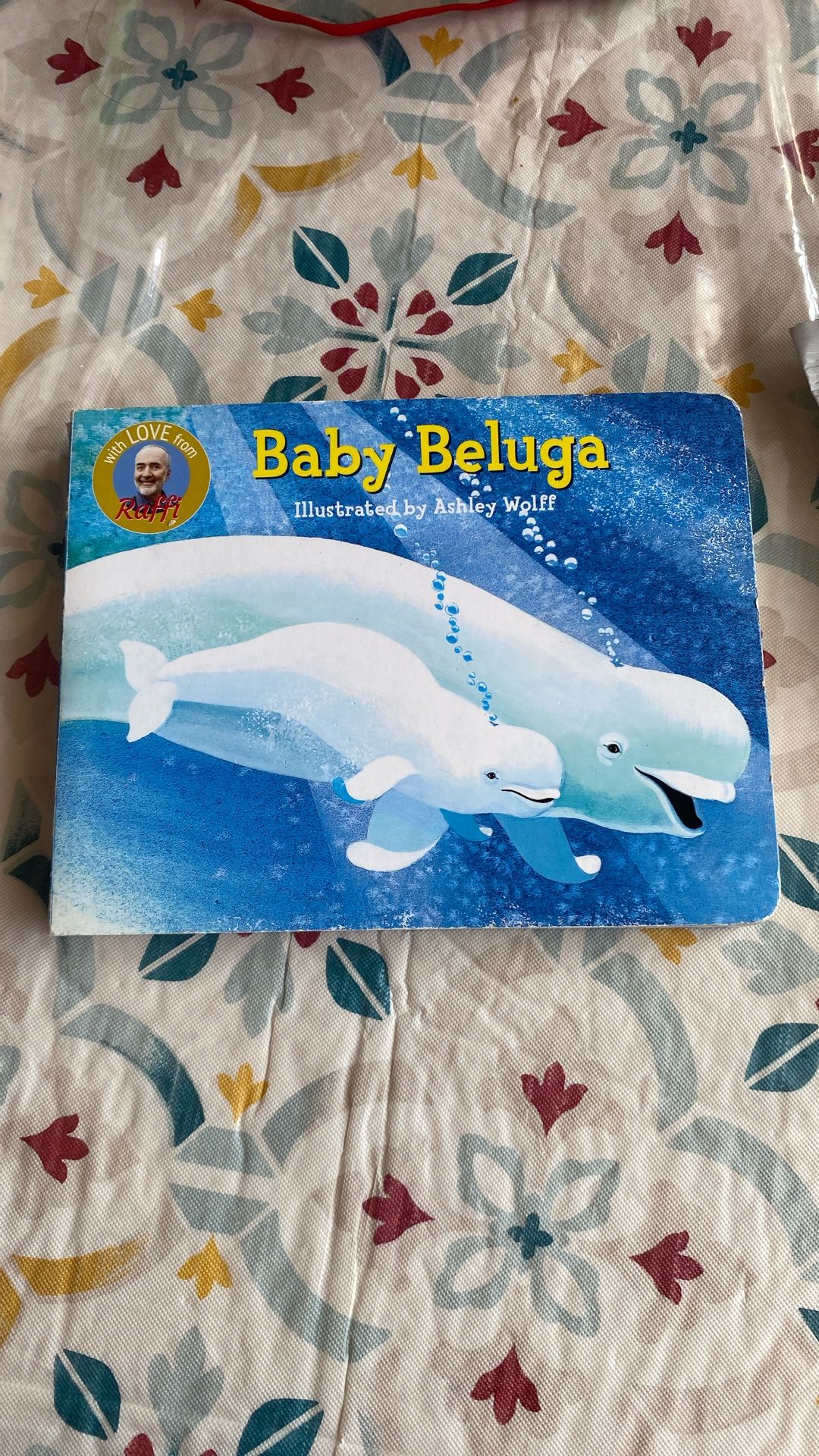 Baby Beluga