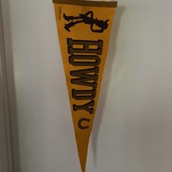Oxford Pennant x Disney 'Toy Story' Howdy Woody Pennant Flag in Gold Brand New, Asking $25 OBO 