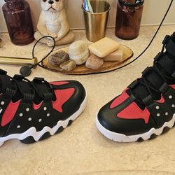 Nike '94 Air Max 2's "Charles Barkley"