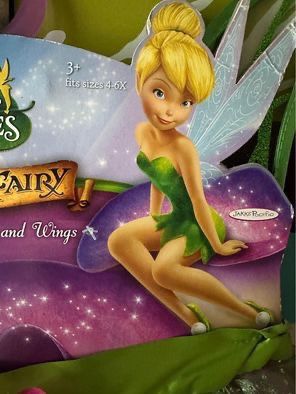 Halloween Disney Tinkerbell FAIRIES Pirate Fairy Costume Size 4-6X New