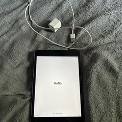 Apple iPad mini 2 