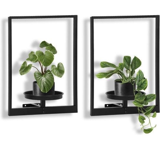 Plant Wall Frame