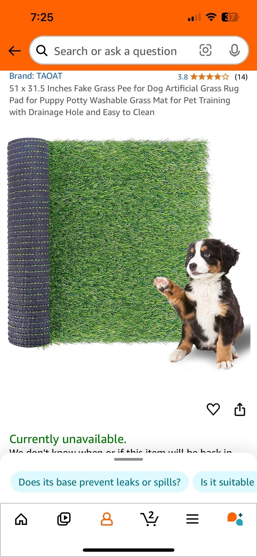 Dog Grass Pad
