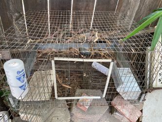 Outdoor Bunny cage