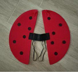 Ladybug Wings Halloween Costume