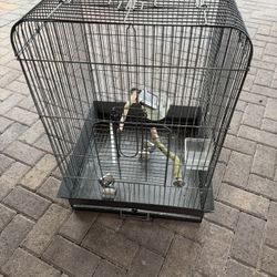Bird Cage