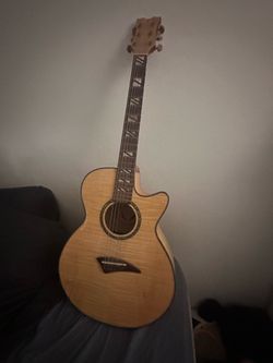 Guitar