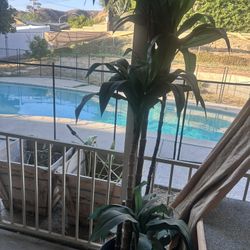 Fake Tree For Free