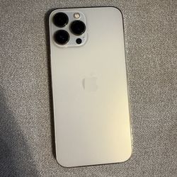 iPhone 13 Pro Max