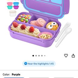 Bento Lunch Box