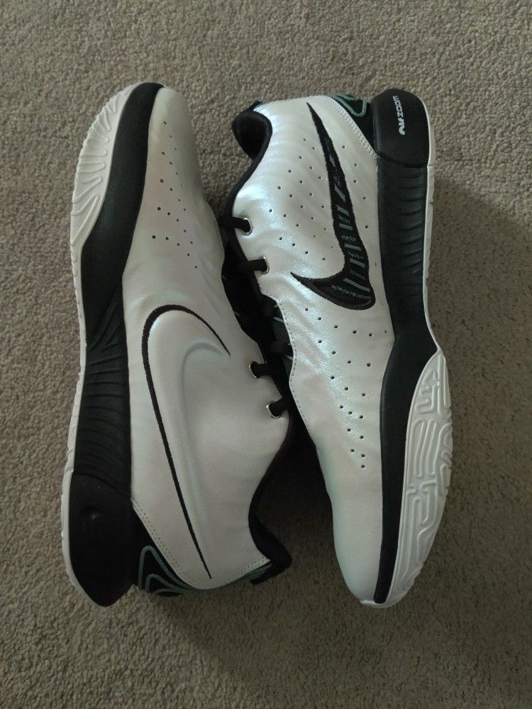 Nike LeBron 21 "Conchiolin" Size 12 Men