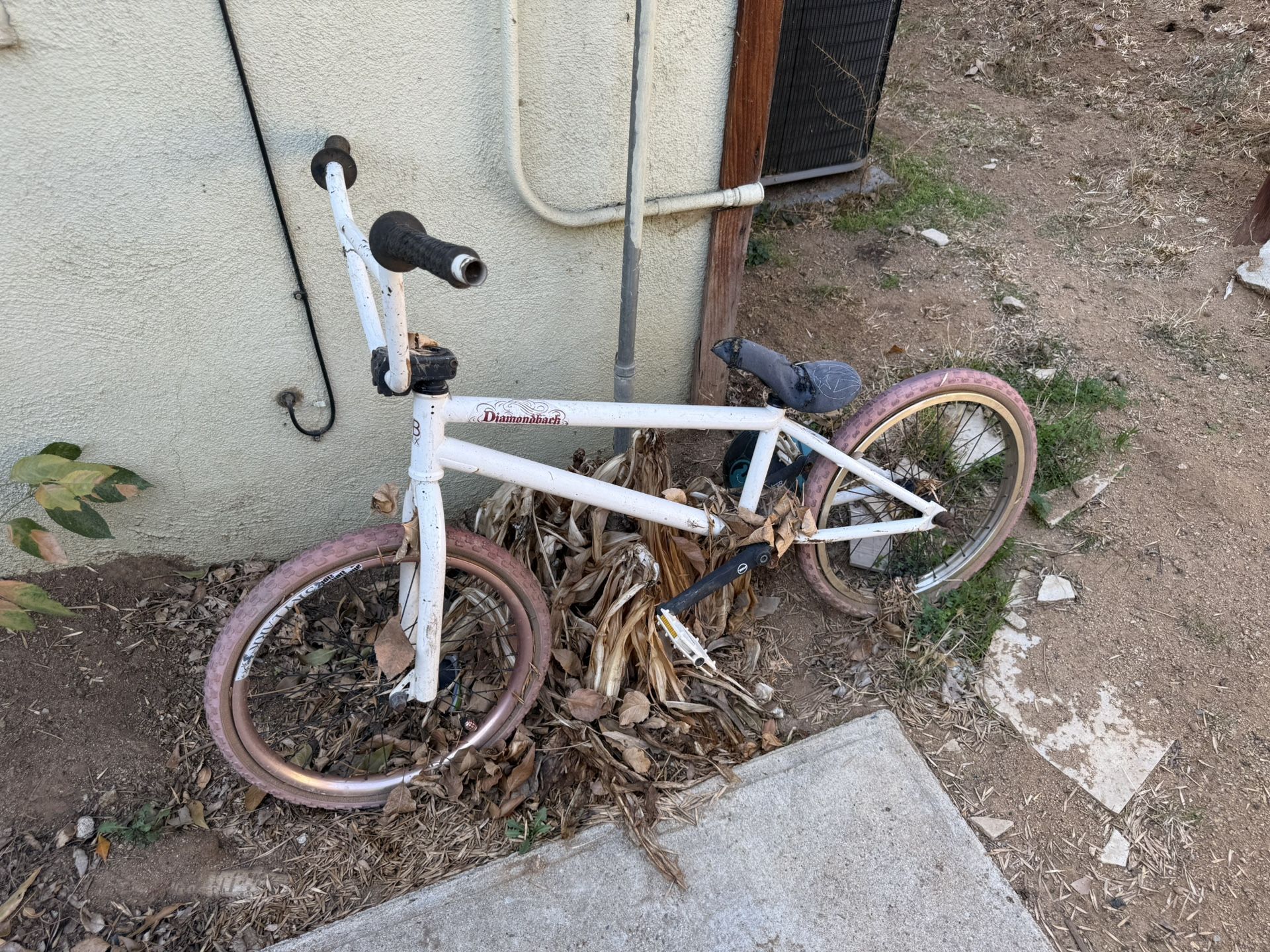 Diamond back bike frame