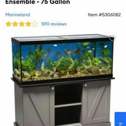 75 Gal With Stand 