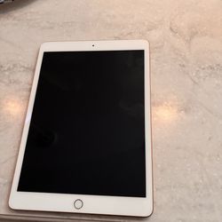 iPad 7th Mondel A2197