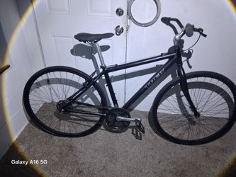 Trek single speed