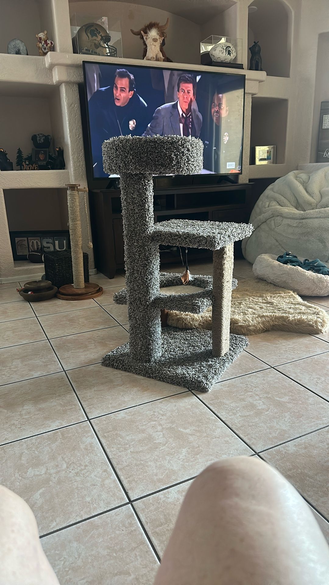 Brown Cat Tower