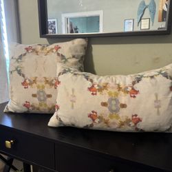 2 Beautiful Pillows 