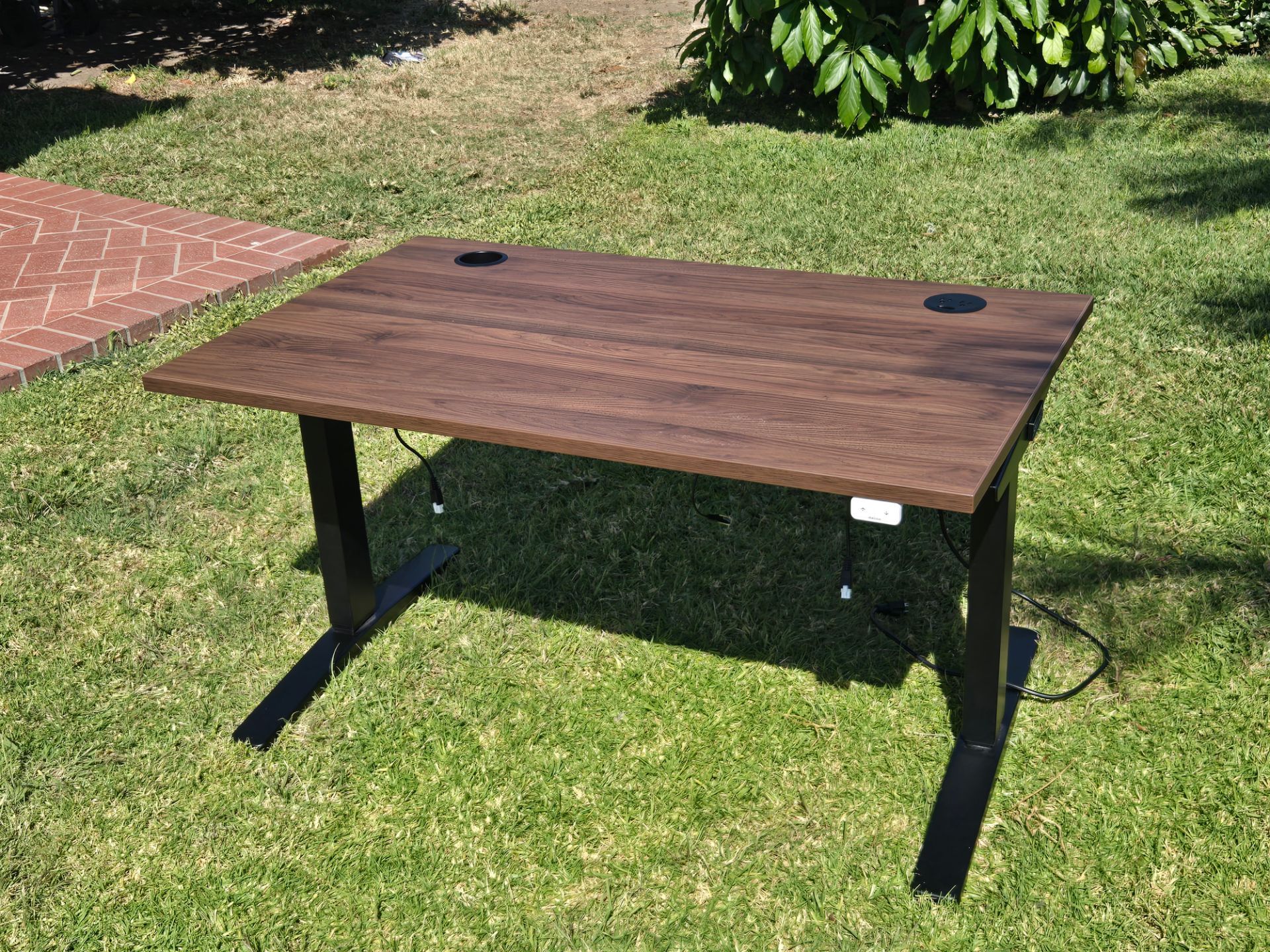 Uplift Standing Desk, Laminate, Walnut, 48" x 38"