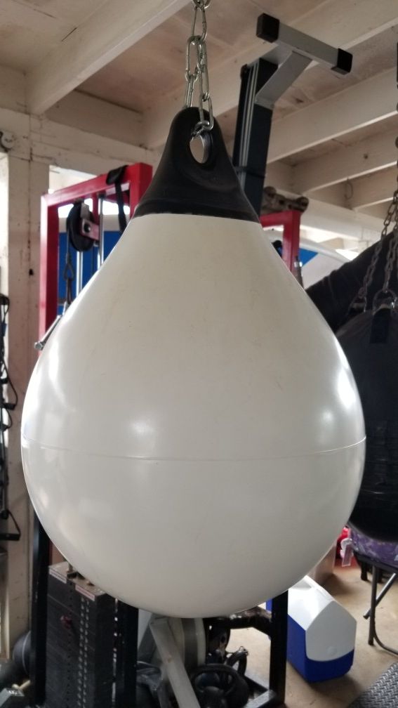 Aqua punching bag