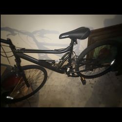 adult mountain bike