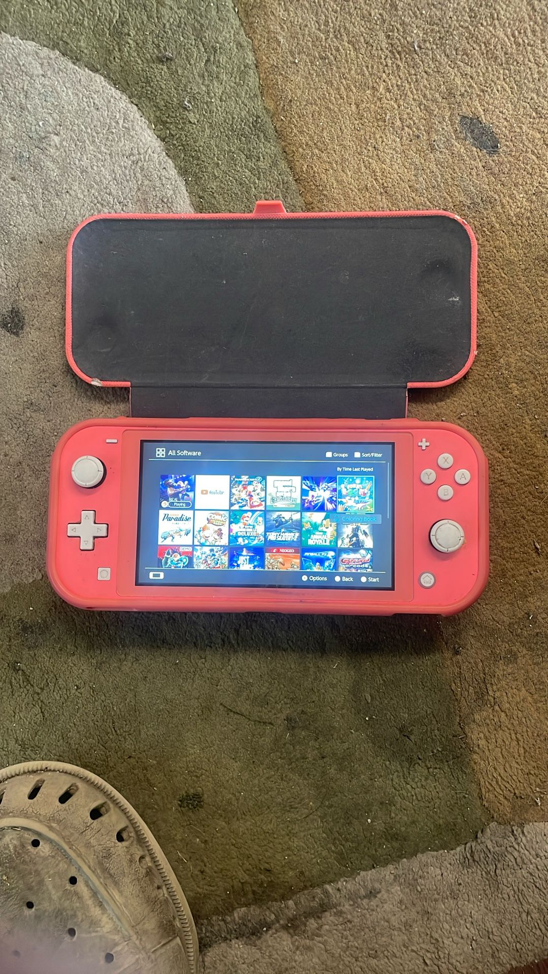 nintendo switch with about 30 games or so, about $500-$600 dollars worth of games